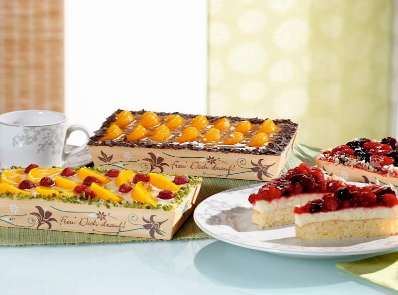 Fruit jelly cake | Ingredients and products for bakeries and bakery industry | Croatia