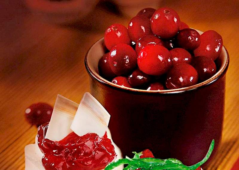 Cranberry Pie Fill - GLAZIR | Production of fruit fillings for the bakery industry | Croatia