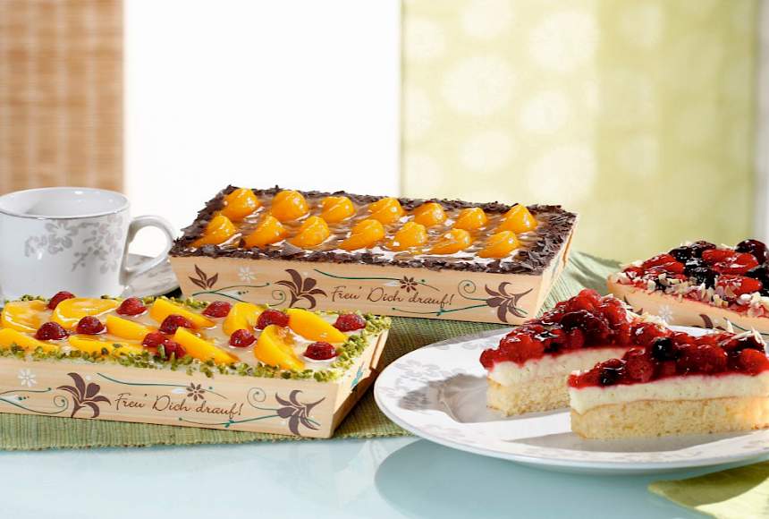 Fruit jelly cake | Ingredients and products for bakeries and bakery industry | Croatia